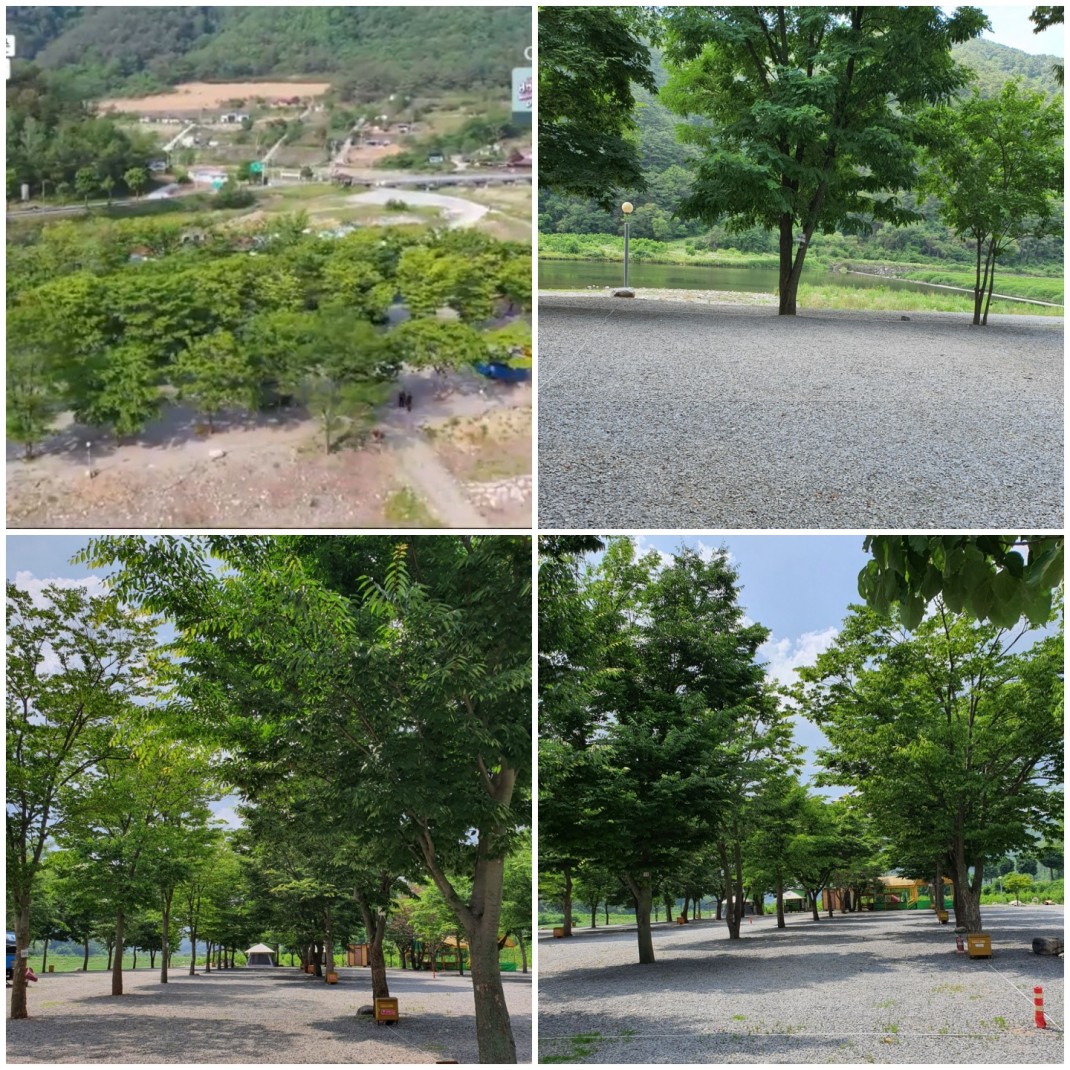 adb3cb566de9ff9f06aa798c854c1332_1617929665_3664.jpg
